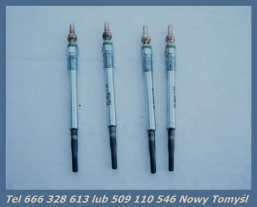 swieca-swiece-zarowe-ngk-y8001as-citroen-ford-1-6-ed-car.pl