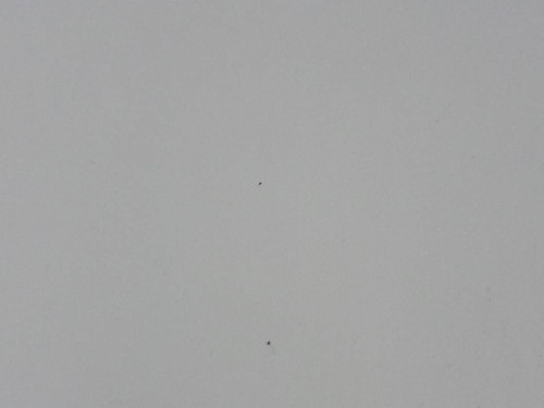 wzmocnienie-czolowe-pas-przedni-przod-mazda-6-02-ed-car.pl