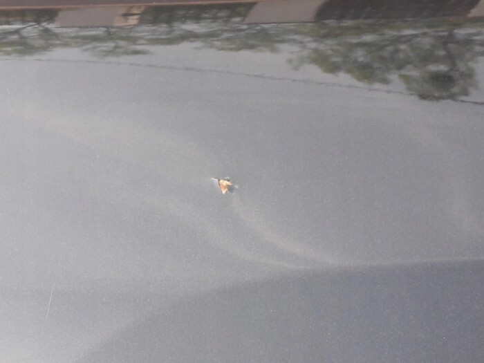 prod_4859559_5_2527065f5_large-ed-car.pl.jpg