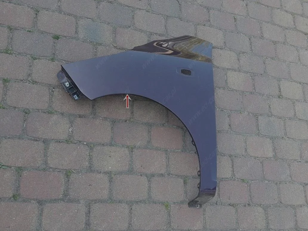 hyundai-i10-i-pa-blotnik-lewy-przod-przedni-07-13-66311-0x300-ed-car.pl-7024720