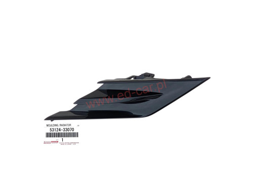 camry-viii-lewa-zaslepka-atrapa-grill-zderzaka-przod-17-53124-33070-ed-car.pl-7101510