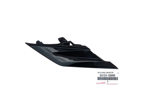 camry-viii-prawa-zaslepka-atrapa-grill-zderzaka-przod-17-53123-33050-ed-car.pl-7101612